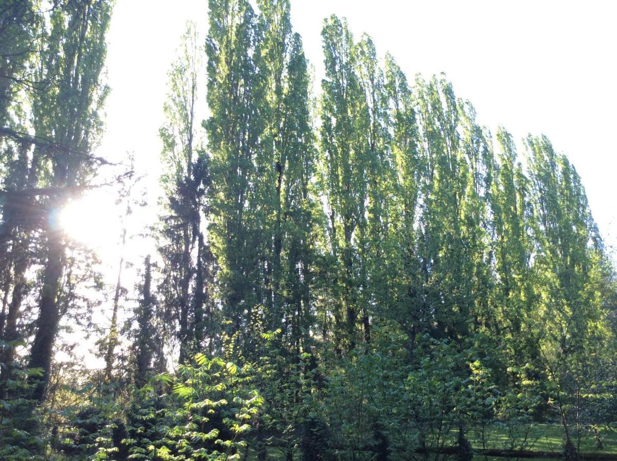 Domaine De La Clef Des Champs Bed & Breakfast Limeray Екстериор снимка